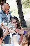 People Toasting With Glasses Of Champagne, Croatia, Europe