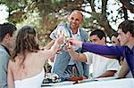 Wedding Guests Toasting To Each Others, Croatia, Europe