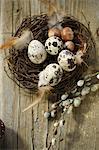 Quail Eggs In Easter Basket, Osijek, Croatia, Europe