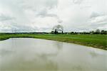 Artificial lake in a rural landscape