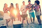 Friends cooking barbecue on the beach