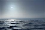 The Atlantic ocean illuminated off the coast of Nova Scotia in fog with the sun shining through.