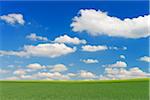 Grain field and Cloudy sky, Springtime, Hesse, Germany