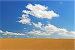 Field and Cloudy sky, Springtime, Hesse, Germany