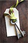 pair of skeleton keys with tag on a shoe lace