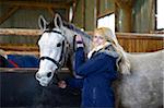 Young Woman grooms a Half Arabian Quarterhorse in his stable, Bavaria, Germany