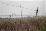 Fencepost and Barbed Wire, Central Texas, USA