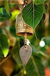 Tradition buddhist wishing bell on a tree in Thailand
