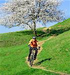 Cyclist Riding the Bike on the Green Hill Near Beautiful Tree with White Flowers