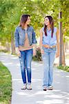 Young Adult Mixed Race Twin Sisters Walking Together Outside.