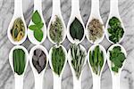 Green herb leaf selection in white porcelain dishes over marble background.