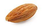 one almond closeup isolated on white background