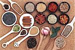 Spice and herb selection spoons, bowls and measuring scoops over cork background.