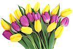 Yellow and purple tulip flower arrangement over white background.