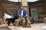 middle-aged man with puppies breed Tibetan Mastiff