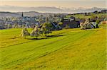 Small Swiss Town Surrounded by Meadows on the Background of Snow-capped Alps, Sunrise