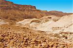 Canyon in the Judean Desert on the West Bank