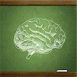 school sketches on blackboard, brain
