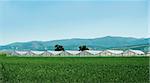 Greenhouse plantation and cultivated land on the foreground