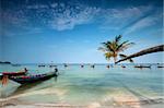 palm and longtail boats on tropical beach. Ko Tao island, Thailand