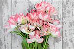 Pink and cream tulip flower arrangement over distressed white wooden background.