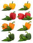 Large capsicum pepper selection with leaf sprigs over white background.