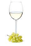 White wine and grapes. On white background