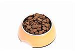 dry dog food in yellow bowl on white background