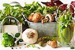 Fresh vegetables and aromatic herbs on a white background.