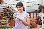 Woman looking for the price of the plant in garden center