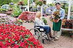 Woman in wheelchair buying a plant in garden centre
