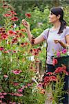 Woman holding a basket while looking at flowers in garden center