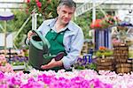 Florist watering flowers with watering can