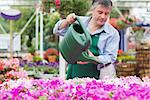 Florist watering plants in garden centre