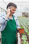 Greenhouse worker holding potted seedling and phoning in greenhouse