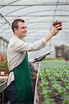 Gardener looking happily at seedling while taking notes in greenhouse nursery