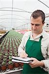 Greenhouse worker taking notes in seedlings in nursery