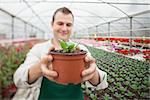 Cheerful man holding a potted plant in greenhouse nursery