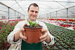 Man holding a potted plant up and smiling in greenhouse