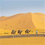 Camel caravan in Erg Chebbi Desert, Sahara Desert near Merzouga, Morocco, North Africa, Africa