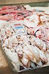 Fresh calamari (squid) in Split fish market, Split, Dalmatia, Croatia, Europe