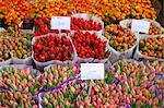 Bloemenmarkt Flower Market, Amsterdam, Netherlands, Europe