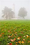 Saint Koloman Church in fog, near Fussen, Bavaria, Germany, Europe