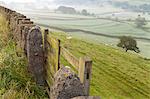 Gate in stone wall and field, near Burnsall, Yorkshire Dales National Park, Yorkshire, England, United Kingdom, Europe