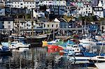 Harbour, Brixham, Devon, England, United Kingdom