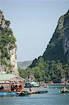 Floating village, Halong Bay, UNESCO World Heritage Site, Vietnam, Indochina, Southeast Asia, Asia