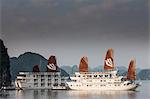 Cruise boats in Halong Bay, UNESCO World Heritage Site, Vietnam, Indochina, Southeast Asia, Asia