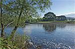 The River Eden near Lazonby, Eden Valley, Cumbria, England, United Kingdom, Europe