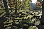 Large wrought stones recovered from the site of the Roman Bridge that spanned the River North Tyne dating from AD 13, Cilurnum (Chesters Roman Fort), Hadrian's Wall, UNESCO World Heritage Site, Chollerford, Northumbria National Park, England, United Kingdom, Europe