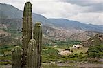 Landscape from the Valles Calchaquies on the road between Cachi and Salta, Salta Province, Argentina, South America